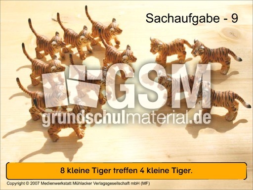 Präsentation-Sachaufgabe-9.pdf